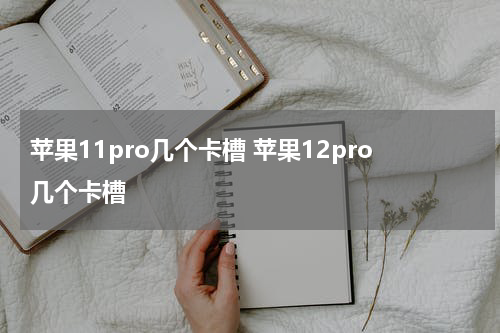 苹果11pro几个卡槽 苹果12pro几个卡槽