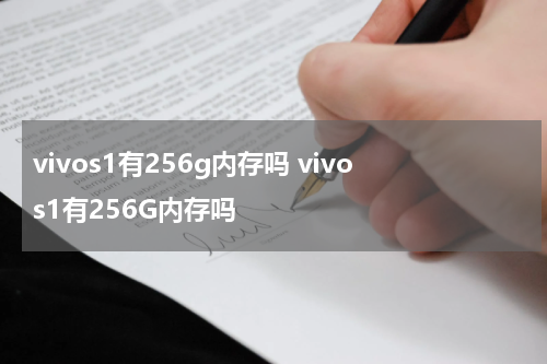 vivos1有256g内存吗 vivos1有256G内存吗