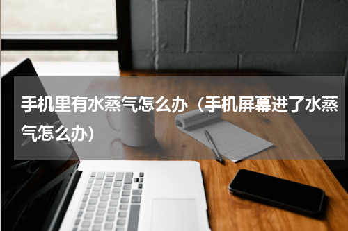手机里有水蒸气怎么办（手机屏幕进了水蒸气怎么办）