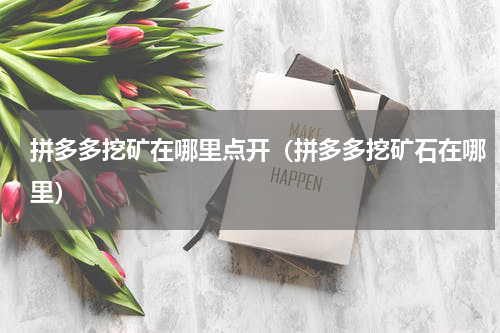 拼多多挖矿在哪里点开（拼多多挖矿石在哪里）