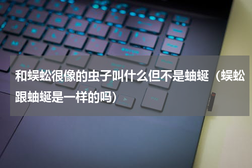 和蜈蚣很像的虫子叫什么但不是蚰蜒（蜈蚣跟蚰蜒是一样的吗）