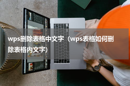 wps删除表格中文字（wps表格如何删除表格内文字）