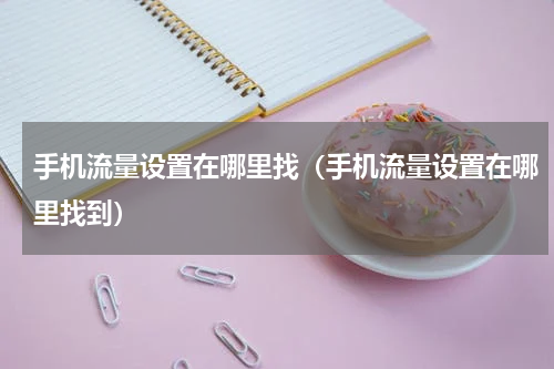 手机流量设置在哪里找（手机流量设置在哪里找到）