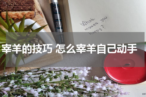 宰羊的技巧 怎么宰羊自己动手