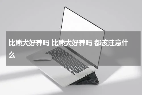 比熊犬好养吗 比熊犬好养吗 都该注意什么