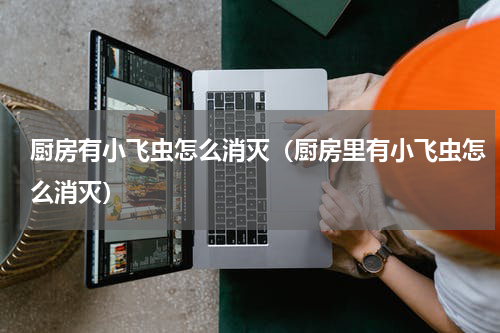 厨房有小飞虫怎么消灭（厨房里有小飞虫怎么消灭）