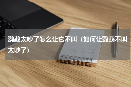 鹦鹉太吵了怎么让它不叫（如何让鹦鹉不叫太吵了）