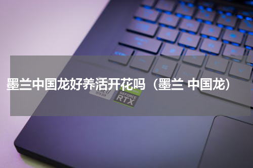 墨兰中国龙好养活开花吗（墨兰 中国龙）
