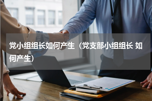 党小组组长如何产生（党支部小组组长 如何产生）