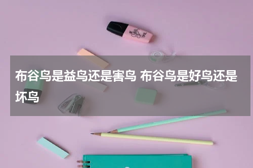 布谷鸟是益鸟还是害鸟 布谷鸟是好鸟还是坏鸟