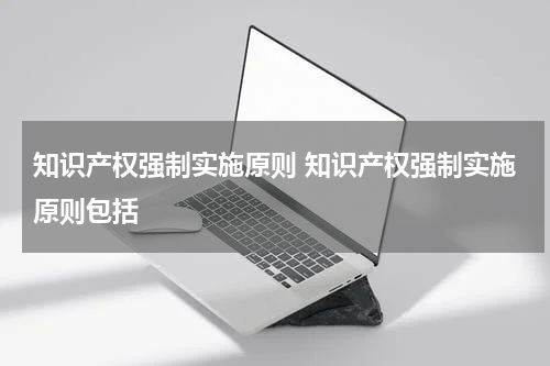 知识产权强制实施原则 知识产权强制实施原则包括