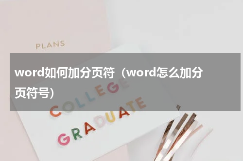 word如何加分页符（word怎么加分页符号）