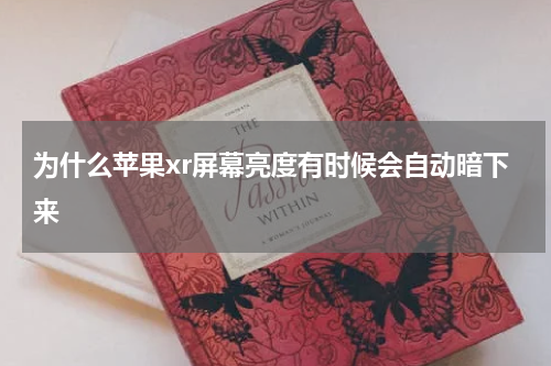 为什么苹果xr屏幕亮度有时候会自动暗下来