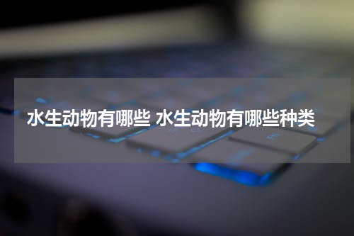 水生动物有哪些 水生动物有哪些种类