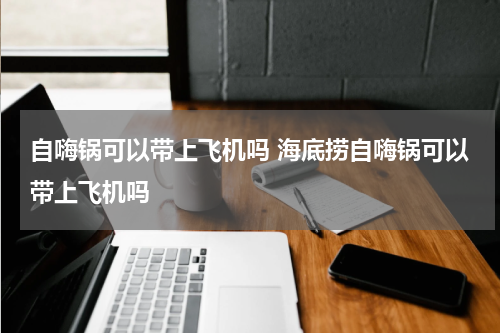 自嗨锅可以带上飞机吗 海底捞自嗨锅可以带上飞机吗