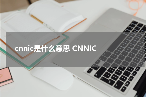 cnnic是什么意思 CNNIC