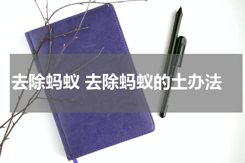 去除蚂蚁 去除蚂蚁的土办法