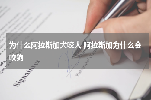 为什么阿拉斯加犬咬人 阿拉斯加为什么会咬狗