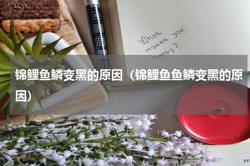 锦鲤鱼鳞变黑的原因（锦鲤鱼鱼鳞变黑的原因）