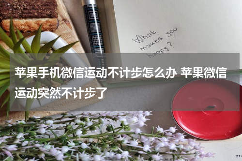 苹果手机微信运动不计步怎么办 苹果微信运动突然不计步了
