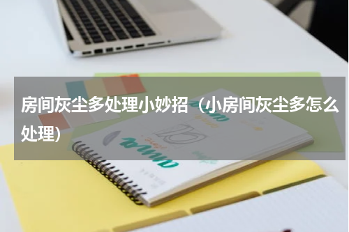 房间灰尘多处理小妙招（小房间灰尘多怎么处理）