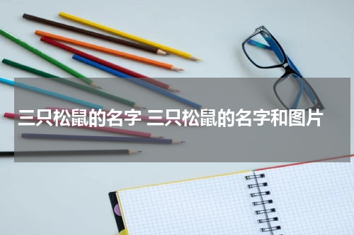 三只松鼠的名字 三只松鼠的名字和图片