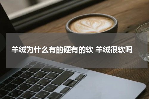 羊绒为什么有的硬有的软 羊绒很软吗