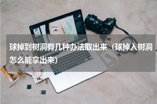 球掉到树洞有几种办法取出来（球掉入树洞怎么能拿出来）