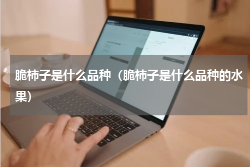 脆柿子是什么品种（脆柿子是什么品种的水果）