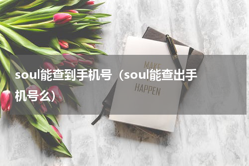 soul能查到手机号（soul能查出手机号么）