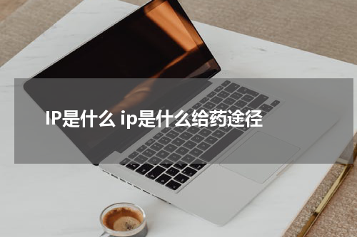IP是什么 ip是什么给药途径