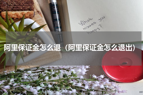 阿里保证金怎么退（阿里保证金怎么退出）