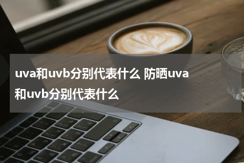 uva和uvb分别代表什么 防晒uva和uvb分别代表什么