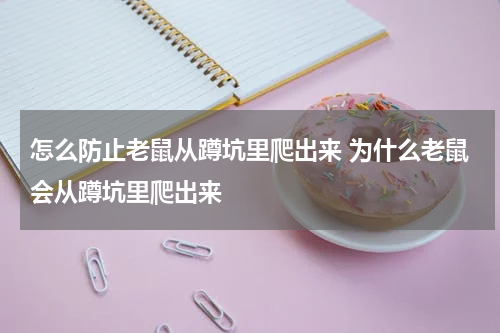 怎么防止老鼠从蹲坑里爬出来 为什么老鼠会从蹲坑里爬出来