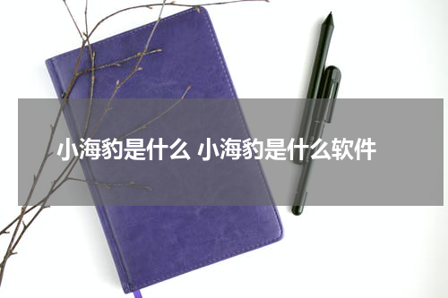 小海豹是什么 小海豹是什么软件