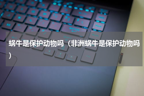 蜗牛是保护动物吗（非洲蜗牛是保护动物吗）