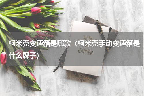 柯米克变速箱是哪款（柯米克手动变速箱是什么牌子）