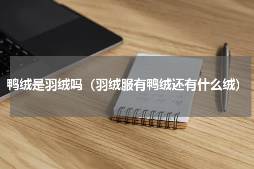 鸭绒是羽绒吗（羽绒服有鸭绒还有什么绒）