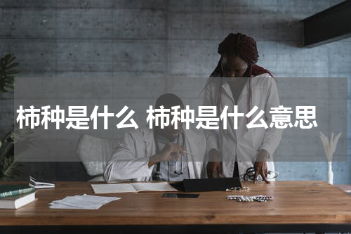 柿种是什么 柿种是什么意思
