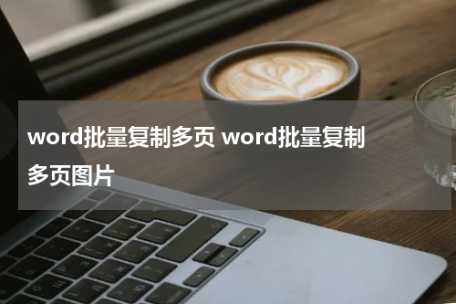 word批量复制多页 word批量复制多页图片