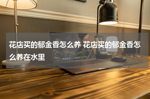 花店买的郁金香怎么养 花店买的郁金香怎么养在水里