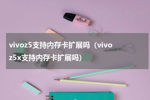 vivoz5支持内存卡扩展吗（vivoz5x支持内存卡扩展吗）