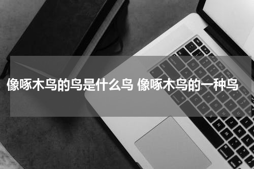 像啄木鸟的鸟是什么鸟 像啄木鸟的一种鸟