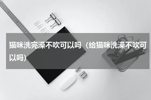 猫咪洗完澡不吹可以吗（给猫咪洗澡不吹可以吗）