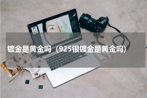 镀金是黄金吗（925银镀金是黄金吗）