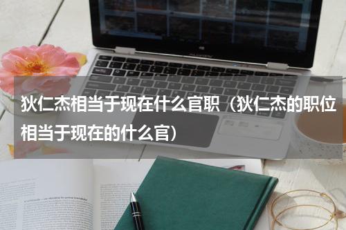 狄仁杰相当于现在什么官职（狄仁杰的职位相当于现在的什么官）