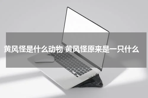 黄风怪是什么动物 黄风怪原来是一只什么