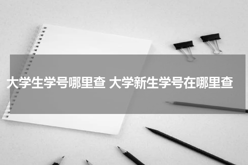 大学生学号哪里查 大学新生学号在哪里查