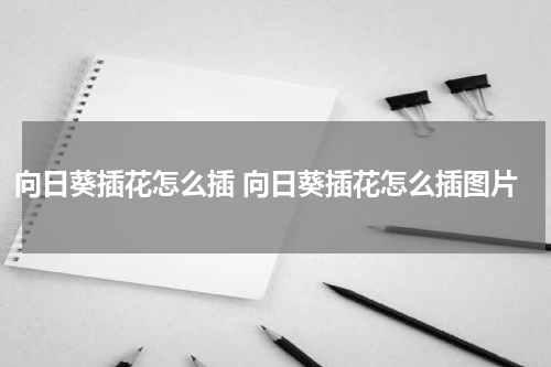 向日葵插花怎么插 向日葵插花怎么插图片