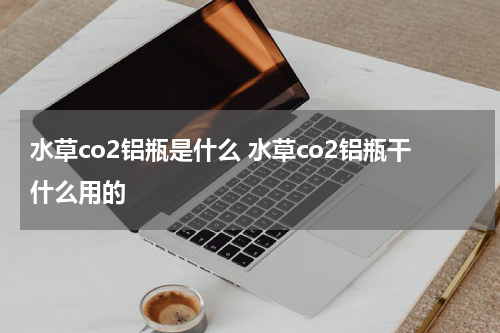 水草co2铝瓶是什么 水草co2铝瓶干什么用的